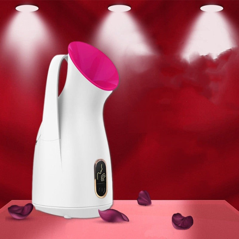 Household Nano Spray Face Steamer -  Elite Bridge