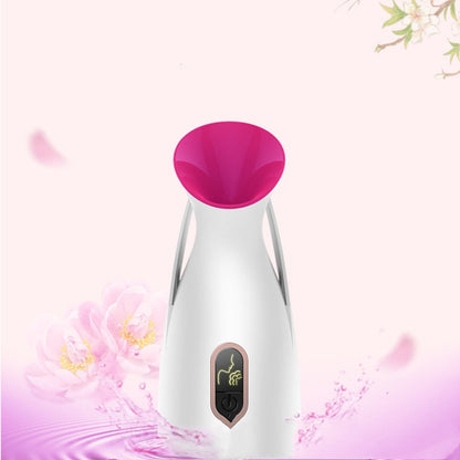 Household Nano Spray Face Steamer -  Elite Bridge
