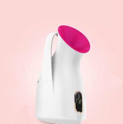 Household Nano Spray Face Steamer -  Elite Bridge