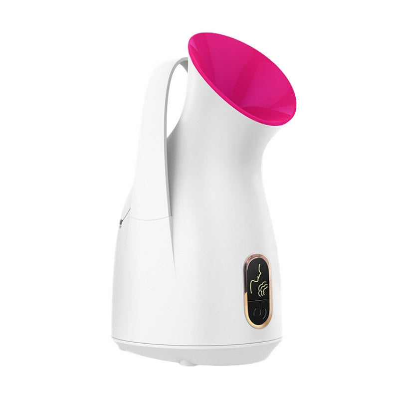 Household Nano Spray Face Steamer -  Elite Bridge