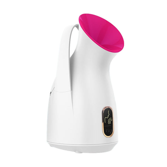 Household Nano Spray Face Steamer -  Elite Bridge