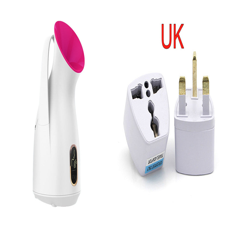 Household Nano Spray Face Steamer -  Elite Bridge